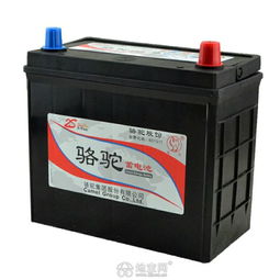 汽车电瓶修复多少伏